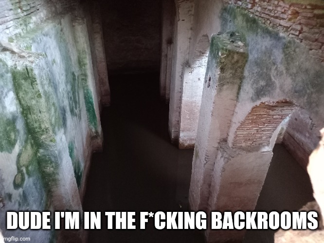 No again | DUDE I'M IN THE F*CKING BACKROOMS | image tagged in the backrooms,never again | made w/ Imgflip meme maker