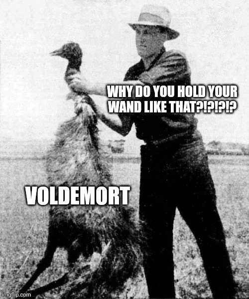 Seriously, Voldy! Why do you hold your wand like that?!?!? So frustrating!!! | WHY DO YOU HOLD YOUR WAND LIKE THAT?!?!?!? VOLDEMORT | image tagged in great emu war,harry potter,voldemort | made w/ Imgflip meme maker