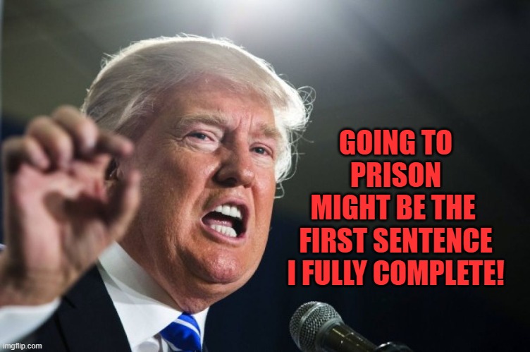 donald trump | GOING TO PRISON
MIGHT BE THE 
FIRST SENTENCE
I FULLY COMPLETE! | image tagged in donald trump | made w/ Imgflip meme maker