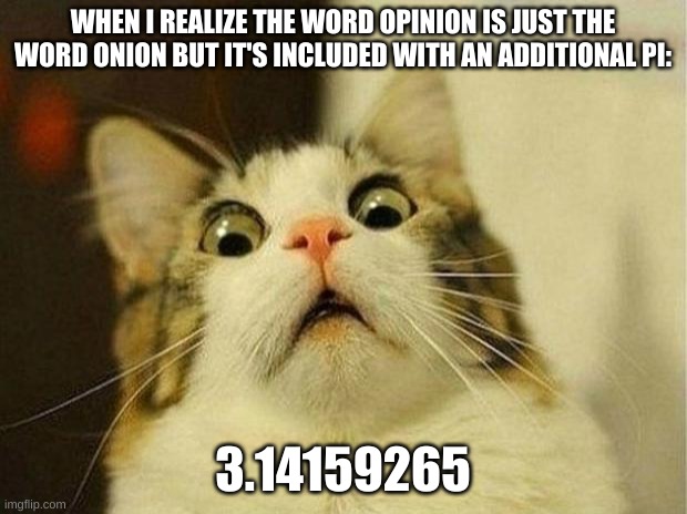 I have been bamboozled | WHEN I REALIZE THE WORD OPINION IS JUST THE WORD ONION BUT IT'S INCLUDED WITH AN ADDITIONAL PI:; 3.14159265 | image tagged in memes,scared cat | made w/ Imgflip meme maker