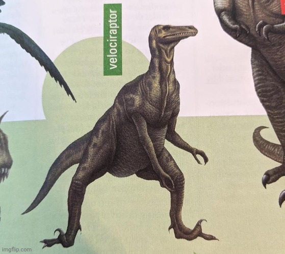 Cursed 2 | made w/ Imgflip meme maker