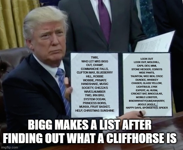 Trump Bill Signing Meme | TWIX, WHO LET MRS BIGG OUT, CHAMP, COMMANCHE FALLS, CLIFTON MAX, BLUEBERRY HILL, ROBBIE WOBBIE, PRIVATE HANDSHAKE, MUSIC SOCIETY, CHEZZA'S WIVES,NUMBER TWO, IRN BRU, SYSTEM OCEAN, PRINCESS BORIS, MUKKA, FRUIT BASKET, HELP, CHRISTMAS SUNSHINE; LOOK OUT LOOK OUT, MOLEHILL, CAPIL DEV, MIMI, STONE HEDGER, CORKYS WIDE PANTS, TAUNTON, WEE BEN, CROC DUNDEE, WHISKEY CHASER, GLASS YELLOW, LIGHTBULB, LYNX EXPERT, AL HUSM, CRICKET BAT, BINOCULAR, MOBILE LOBSTER, IKNOWWHATYOUMEANHARRY, JIGGLE JIGGLE, HAPPY DAYS, SPONGETED, SPIDER; BIGG MAKES A LIST AFTER FINDING OUT WHAT A CLIFFHORSE IS | image tagged in memes,trump bill signing | made w/ Imgflip meme maker