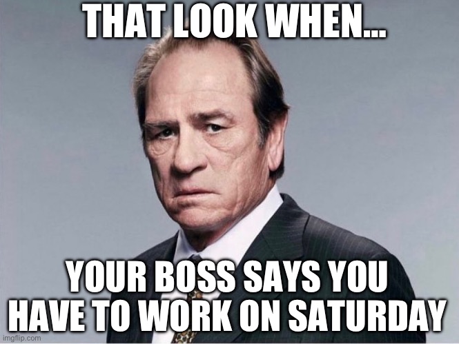 THAT LOOK WHEN…; YOUR BOSS SAYS YOU HAVE TO WORK ON SATURDAY | image tagged in tommy lee jones,saturday,the office,working class | made w/ Imgflip meme maker