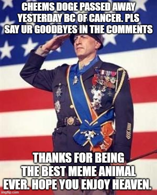 goodbye cheems :( | CHEEMS DOGE PASSED AWAY YESTERDAY BC OF CANCER. PLS SAY UR GOODBYES IN THE COMMENTS; THANKS FOR BEING THE BEST MEME ANIMAL EVER. HOPE YOU ENJOY HEAVEN. | image tagged in patton salutes you,cheems,dogs,memes,sad but true,stop reading the tags | made w/ Imgflip meme maker