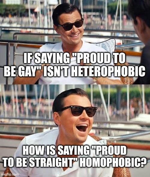 I'm Straight and I'm Proud of It! Hopefully That Doesn't Automatically Make Me a Homophobe | IF SAYING "PROUD TO BE GAY" ISN'T HETEROPHOBIC; HOW IS SAYING "PROUD TO BE STRAIGHT" HOMOPHOBIC? | image tagged in leonardo dicaprio wolf of wall street,straight,gay,homophobic,homophobe,double standards | made w/ Imgflip meme maker