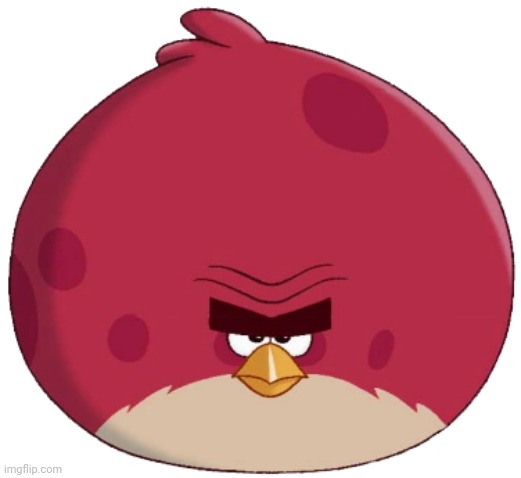 Terence (Angry Birds Toons style) | image tagged in terence angry birds toons style | made w/ Imgflip meme maker