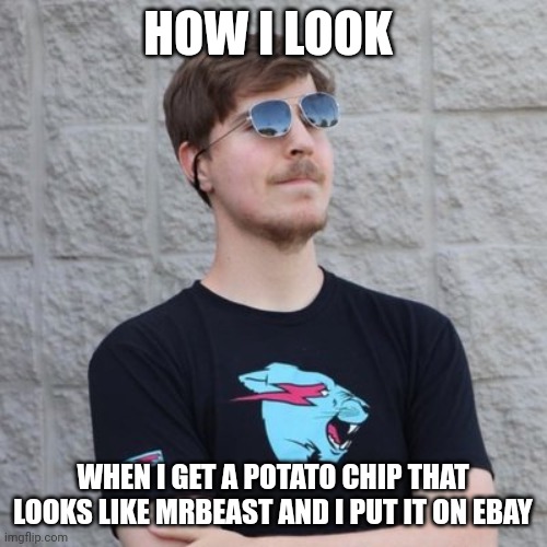 Mrbeast potato chip | HOW I LOOK; WHEN I GET A POTATO CHIP THAT LOOKS LIKE MRBEAST AND I PUT IT ON EBAY | image tagged in mr beast,food memes | made w/ Imgflip meme maker