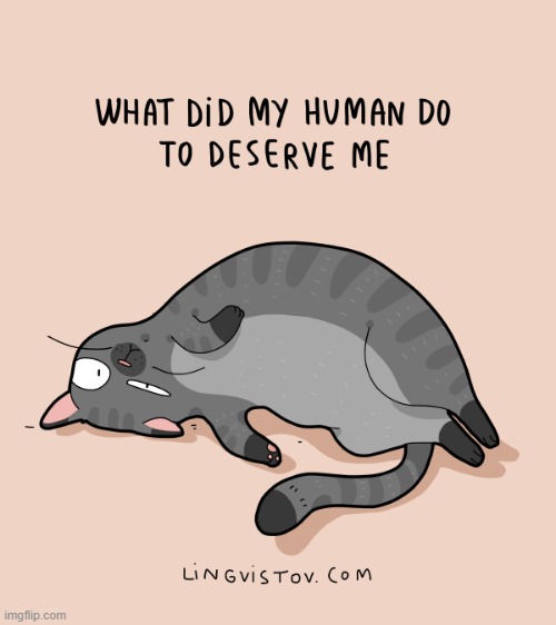 A Cat's Way Of Thinking | image tagged in memes,comics/cartoons,cats,lucky,get,me | made w/ Imgflip meme maker