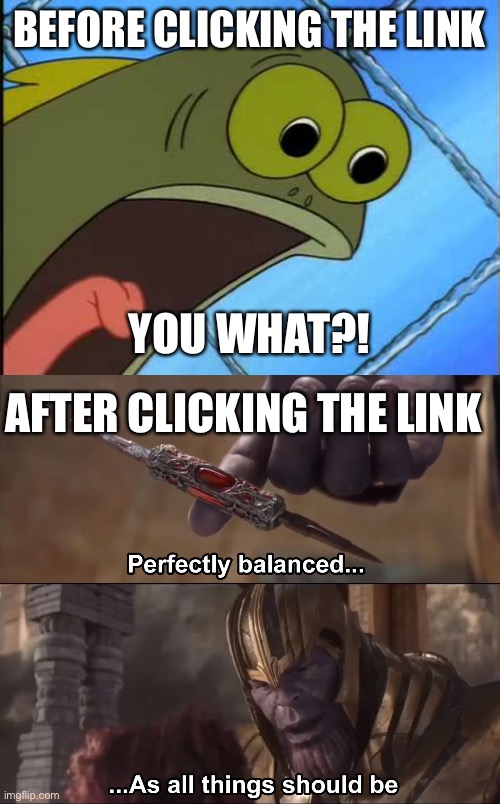 BEFORE CLICKING THE LINK YOU WHAT?! AFTER CLICKING THE LINK | image tagged in you what,thanos perfectly balanced as all things should be | made w/ Imgflip meme maker