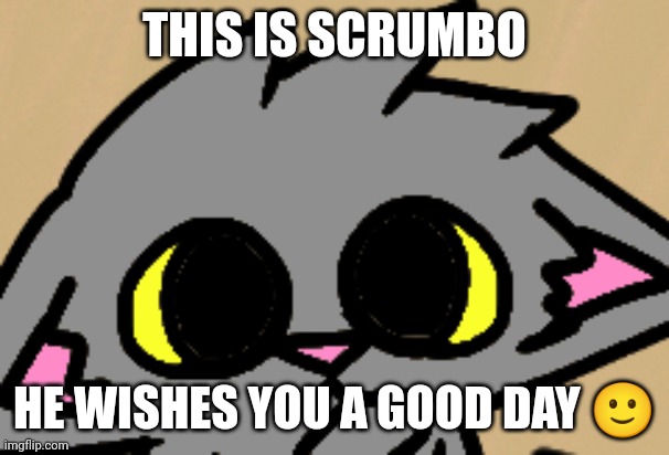 Scrumbo | THIS IS SCRUMBO; HE WISHES YOU A GOOD DAY 🙂 | image tagged in cat | made w/ Imgflip meme maker