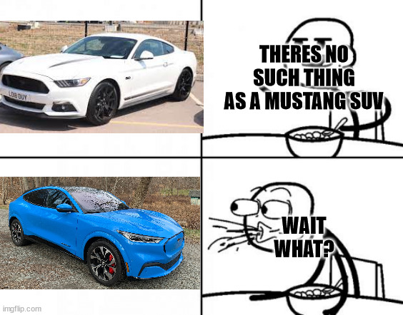 STICK MAN REACTION TEMPLATE | THERES NO SUCH THING AS A MUSTANG SUV; WAIT WHAT? | image tagged in stick man reaction template | made w/ Imgflip meme maker