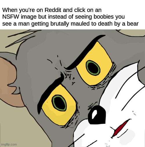 Reddit is fun | When you're on Reddit and click on an NSFW image but instead of seeing boobies you see a man getting brutally mauled to death by a bear | image tagged in memes,unsettled tom | made w/ Imgflip meme maker