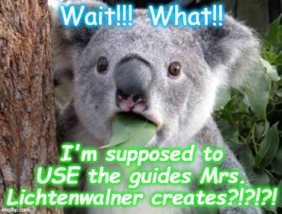 Stunned Koala | Wait!!!  What!! I'm supposed to USE the guides Mrs. Lichtenwalner creates?!?!?! | image tagged in stunned koala | made w/ Imgflip meme maker