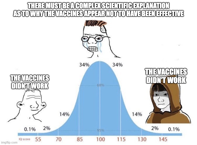 they didn't work | THERE MUST BE A COMPLEX SCIENTIFIC EXPLANATION AS TO WHY THE VACCINES APPEAR NOT TO HAVE BEEN EFFECTIVE; THE VACCINES DIDN'T WORK; THE VACCINES DIDN'T WORK | image tagged in bell curve | made w/ Imgflip meme maker