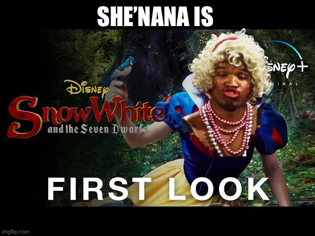 The new snow white | SHE’NANA IS | image tagged in shenana is snow white,funny,memes | made w/ Imgflip meme maker