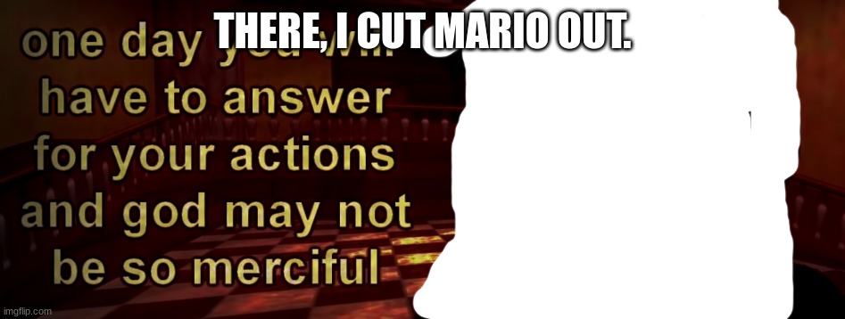 one day you will have to answer for your actions | THERE, I CUT MARIO OUT. | image tagged in one day you will have to answer for your actions | made w/ Imgflip meme maker