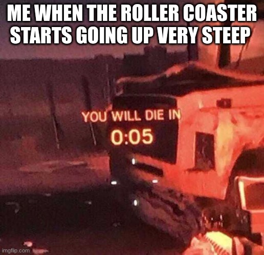 Then the drop | ME WHEN THE ROLLER COASTER STARTS GOING UP VERY STEEP | image tagged in you will die in 0 05 | made w/ Imgflip meme maker