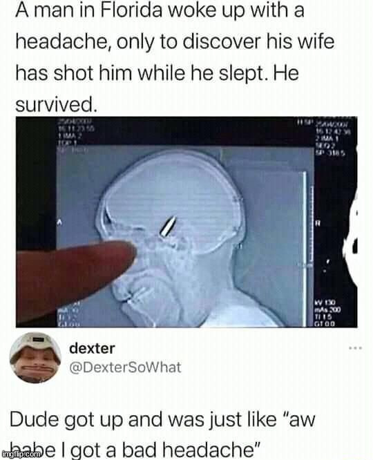 Florida man is crazy | image tagged in memes,funny | made w/ Imgflip meme maker