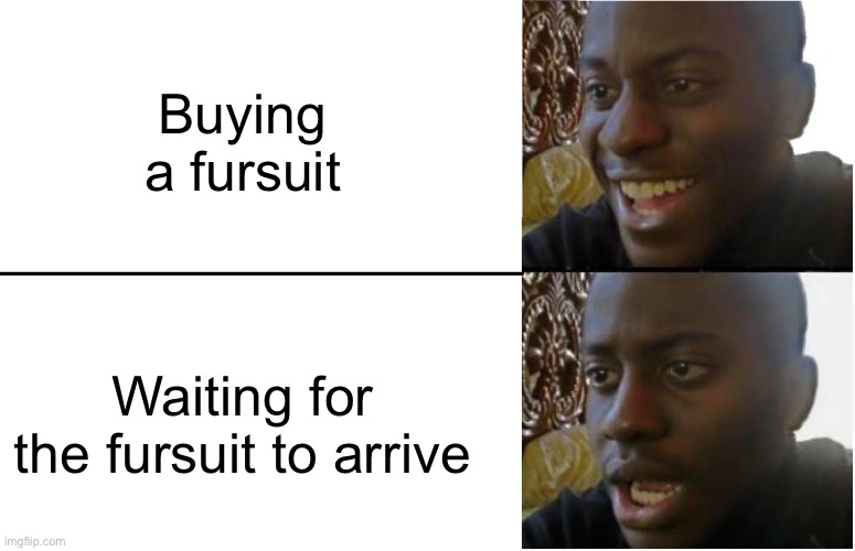 Well it’s arriving by the 22nd, tysm Lavafox! | Buying a fursuit; Waiting for the fursuit to arrive | image tagged in disappointed black guy | made w/ Imgflip meme maker