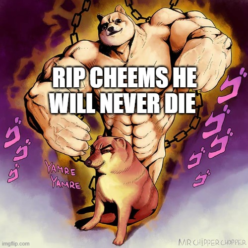 Cheem never dies | RIP CHEEMS HE WILL NEVER DIE | image tagged in jojo doge vs cheems,cheem never dies,homies,live forever | made w/ Imgflip meme maker