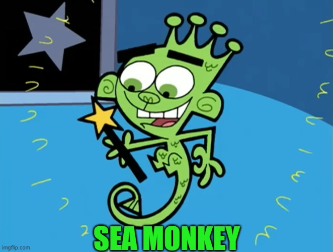 SEA MONKEY | image tagged in puns | made w/ Imgflip meme maker