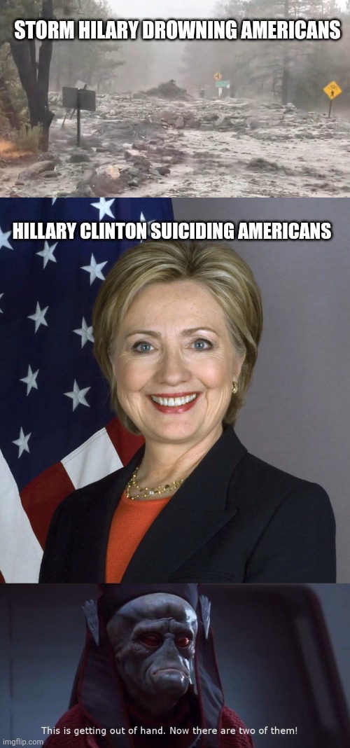 Yall thought Karen's were bad, watch out for them Hillary's | STORM HILARY DROWNING AMERICANS; HILLARY CLINTON SUICIDING AMERICANS | image tagged in two of them | made w/ Imgflip meme maker
