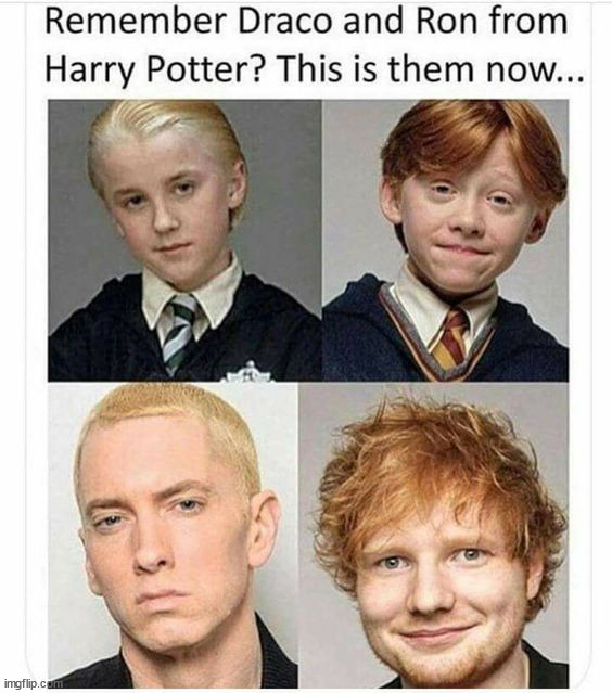 Funny harry potter meme 😂😂😂 : r/ComedyCemetery