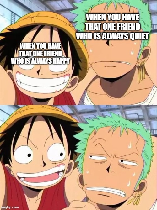 luffy and zoro | WHEN YOU HAVE THAT ONE FRIEND WHO IS ALWAYS QUIET; WHEN YOU HAVE THAT ONE FRIEND WHO IS ALWAYS HAPPY | image tagged in luffy and zoro | made w/ Imgflip meme maker