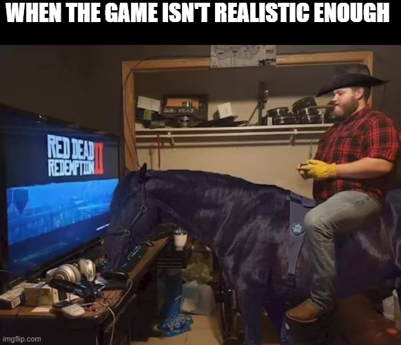 rdr2 | WHEN THE GAME ISN'T REALISTIC ENOUGH | image tagged in rdr2 | made w/ Imgflip meme maker