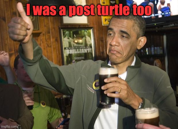 Not Bad | I was a post turtle too | image tagged in not bad | made w/ Imgflip meme maker