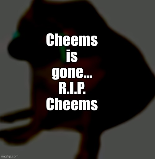 R.I.P. Cheems | Cheems is gone…
R.I.P. Cheems | image tagged in cheems crying,cheems | made w/ Imgflip meme maker
