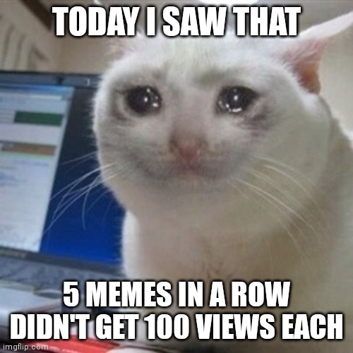 Plz | TODAY I SAW THAT; 5 MEMES IN A ROW DIDN'T GET 100 VIEWS EACH | image tagged in crying cat,plz,help me,memes | made w/ Imgflip meme maker