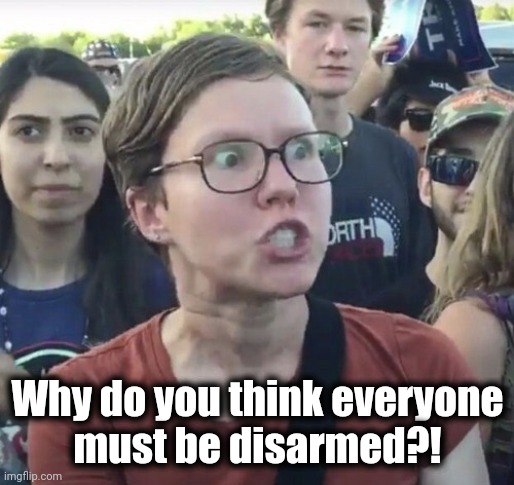 Triggered feminist | Why do you think everyone
must be disarmed?! | image tagged in triggered feminist | made w/ Imgflip meme maker