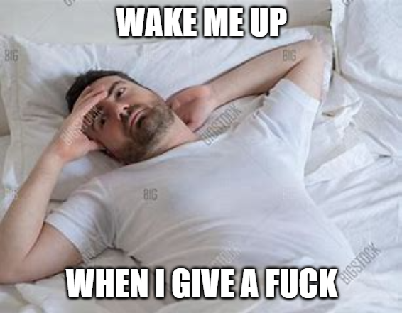 Wake Me Up When I Give A Frick Blank Meme Template
