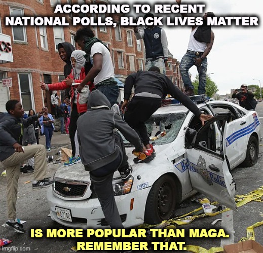 Tells you something. | ACCORDING TO RECENT 
NATIONAL POLLS, BLACK LIVES MATTER; IS MORE POPULAR THAN MAGA. 
REMEMBER THAT. | image tagged in blm,popular,maga,americans | made w/ Imgflip meme maker