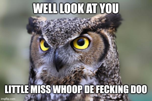 funny owls | WELL LOOK AT YOU; LITTLE MISS WHOOP DE FECKING DOO | image tagged in funny owls | made w/ Imgflip meme maker