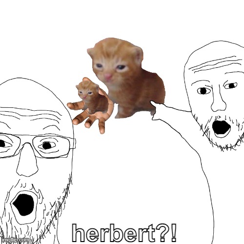 herbert?! | herbert?! | image tagged in herbert,funny,soyjack,ur mom gay | made w/ Imgflip meme maker
