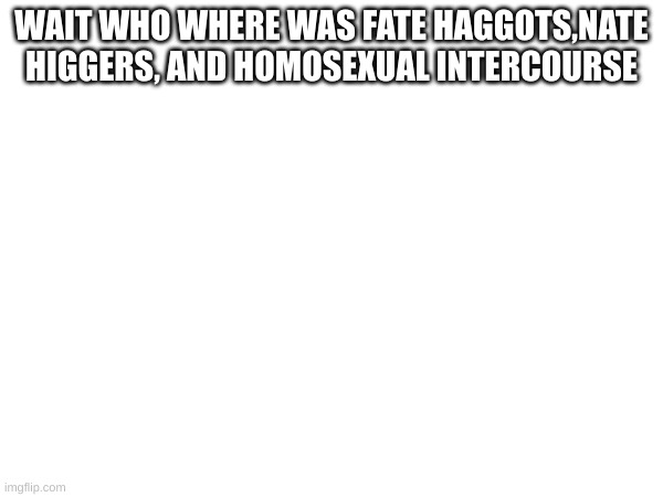 WAIT WHO WHERE WAS FATE HAGGOTS,NATE HIGGERS, AND HOMOSEXUAL INTERCOURSE | made w/ Imgflip meme maker