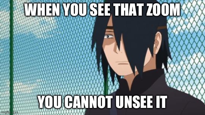 What has been seen cannot be unseen Sasuke Edition | WHEN YOU SEE THAT ZOOM; YOU CANNOT UNSEE IT | image tagged in what has been seen cannot be unseen sasuke edition | made w/ Imgflip meme maker
