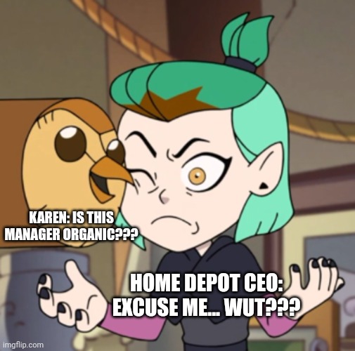 Excuse me... But is this manager organic??? | KAREN: IS THIS MANAGER ORGANIC??? HOME DEPOT CEO: EXCUSE ME... WUT??? | image tagged in hooty in amity's space the owl house,karen | made w/ Imgflip meme maker