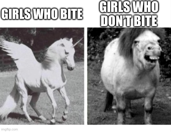 Beautiful Unicorn and Ugly Horse | GIRLS WHO BITE; GIRLS WHO DON’T BITE | image tagged in beautiful unicorn and ugly horse | made w/ Imgflip meme maker