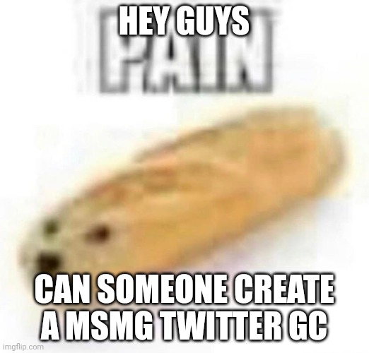 PAIN | HEY GUYS; CAN SOMEONE CREATE A MSMG TWITTER GC | image tagged in pain | made w/ Imgflip meme maker