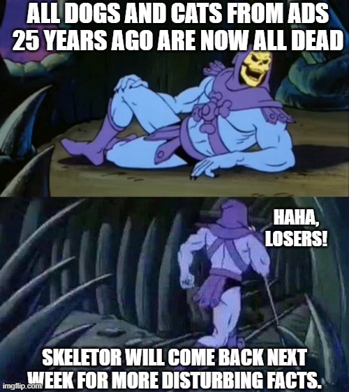 Huh. | ALL DOGS AND CATS FROM ADS 25 YEARS AGO ARE NOW ALL DEAD; HAHA, LOSERS! SKELETOR WILL COME BACK NEXT WEEK FOR MORE DISTURBING FACTS. | image tagged in skeletor disturbing facts | made w/ Imgflip meme maker
