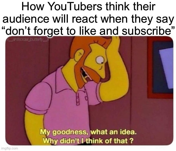 Don’t forget to like and subscribe | How YouTubers think their audience will react when they say “don’t forget to like and subscribe” | image tagged in why didnt i think of that,youtube | made w/ Imgflip meme maker