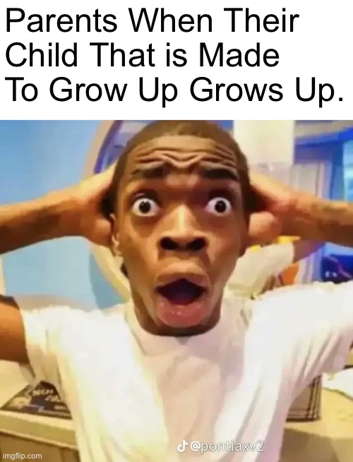 Shocked black guy | Parents When Their Child That is Made To Grow Up Grows Up. | image tagged in shocked black guy | made w/ Imgflip meme maker