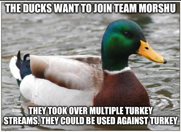 Actual Advice Mallard Meme | THE DUCKS WANT TO JOIN TEAM MORSHU; THEY TOOK OVER MULTIPLE TURKEY STREAMS. THEY COULD BE USED AGAINST TURKEY | image tagged in memes,actual advice mallard | made w/ Imgflip meme maker