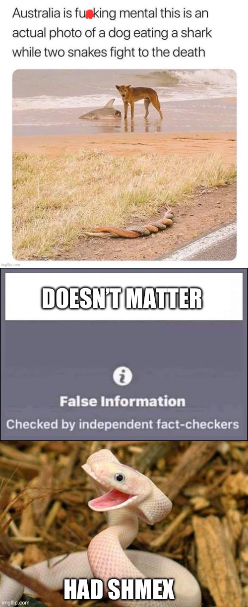 Doesn’t matter | DOESN’T MATTER HAD SHMEX | image tagged in false information checked by independent fact-checkers,happy snake | made w/ Imgflip meme maker