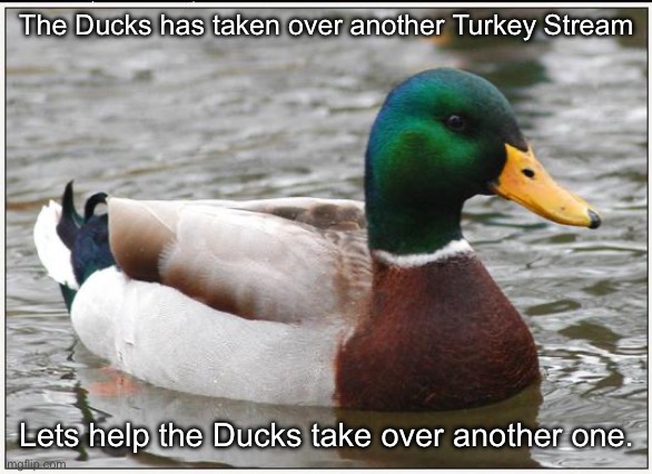 Actual Advice Mallard | The Ducks has taken over another Turkey Stream; Lets help the Ducks take over another one. | image tagged in memes,actual advice mallard | made w/ Imgflip meme maker