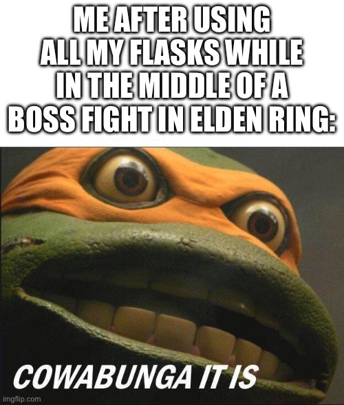 :p | ME AFTER USING ALL MY FLASKS WHILE IN THE MIDDLE OF A BOSS FIGHT IN ELDEN RING: | image tagged in cowabunga it is,elden ring,teenage mutant ninja turtles,funny,memes,relatable | made w/ Imgflip meme maker