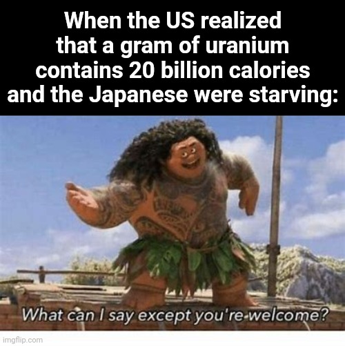 Dark humor | When the US realized that a gram of uranium contains 20 billion calories and the Japanese were starving: | image tagged in what can i say except you're welcome | made w/ Imgflip meme maker